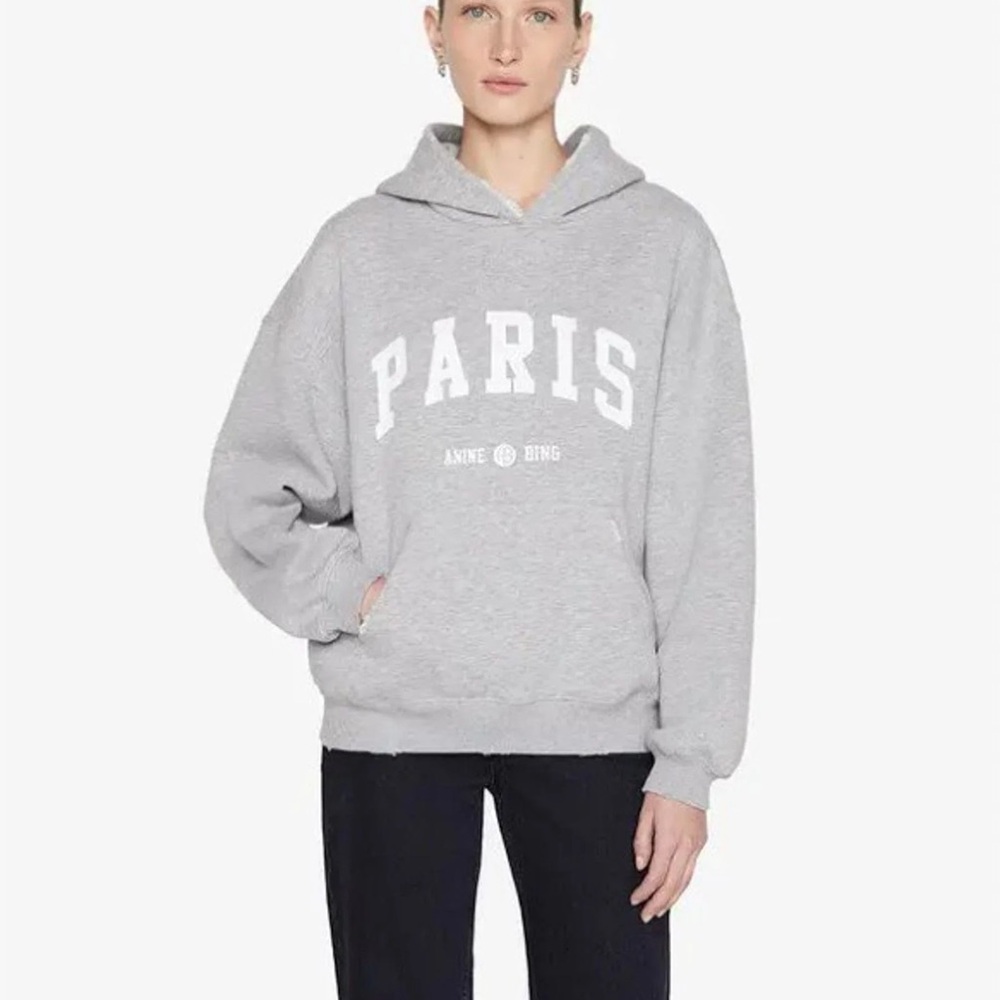 Anine Bing Aiden Light Gray Paris Hoodie Sweatshirt